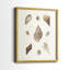 Knorr Shells & Coral IX - reproduction encadrée de qualité supérieure - prête à être accrochée - aucun clou requis - aucun clou requis-1862658288
