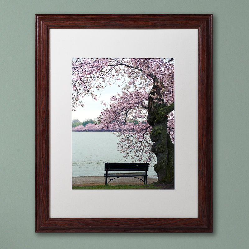 Tranquility, reproduction de photo encadrée, H 20 po x l 16 po x P 0,5 po, Blanc