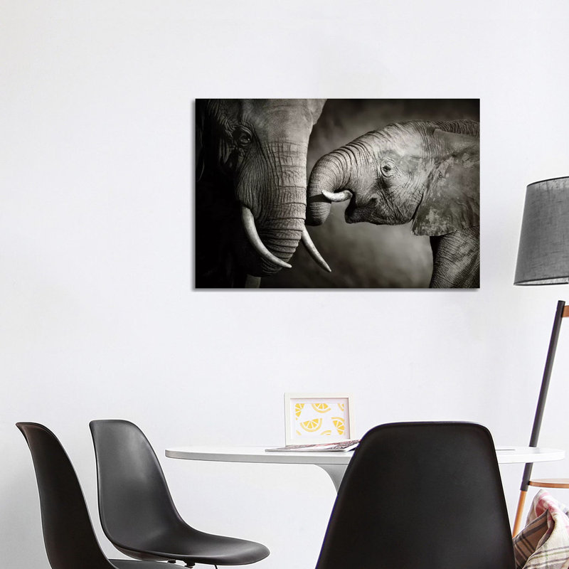 Elephant Affection by Johan Swanepoel - Wrapped Canvas Print, 101.6 cm H x 66.04 cm W x 3.175 cm D
