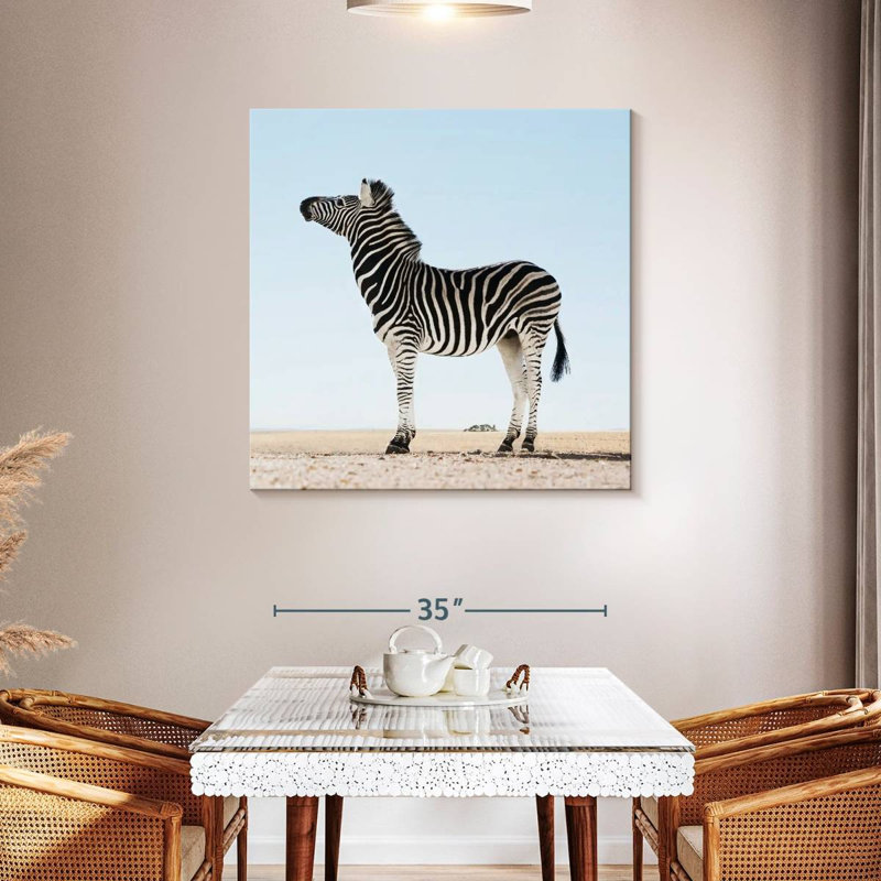 Brampt Moorreesburg Zebra