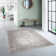 Bacall Oriental Area Rug