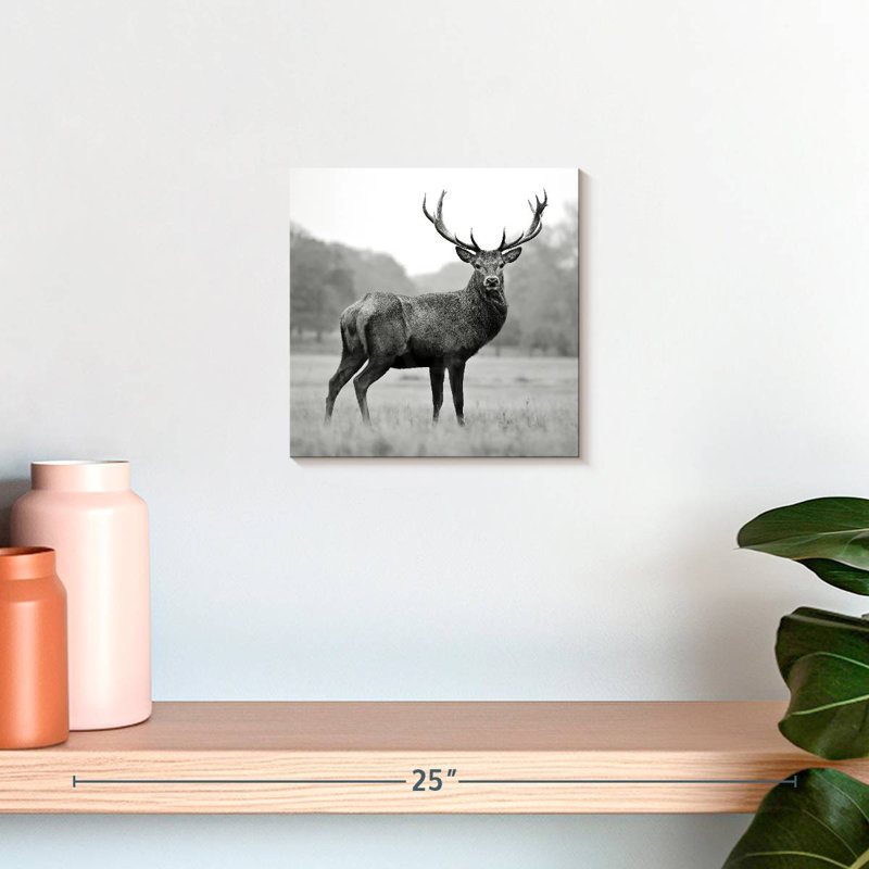 Brampt Proud Deer BW, 10" H x 10" W