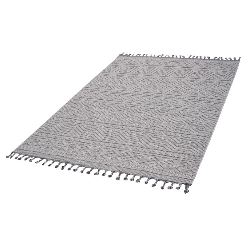 Traditional indoor/outdoor area rugs, Rectangle 4' x 6'2"