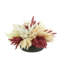 Assorted Pampas In A Fiberstone Pot