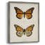 Vintage Animal Print XXIII Framed Print - Solid Wood-2024539933