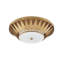 Floris 1 - Light Flush Mount