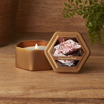 Traveller Peppermint Bark Scented Jar Candle
