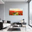 Plantes et fleurs, coquelicot, bicyclette, coucher de soleil, reproduction d'art-1401871807