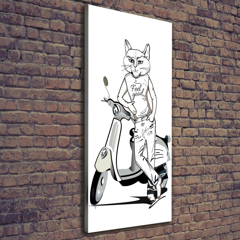 Cat Male - Wrapped Canvas Print