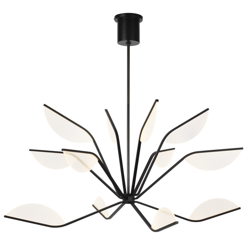 Belterra 38 Chandelier, 24" H x 48" W x 48" D, Matte Black
