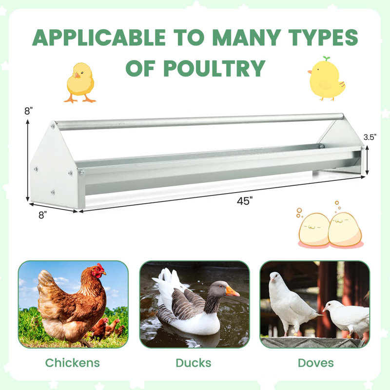 Mangeoire pour poulet en acier galvanisé avec trous de drainage Costway