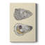 Coquilles bivalves IV - galerie Cavas sur mesure-2139807075
