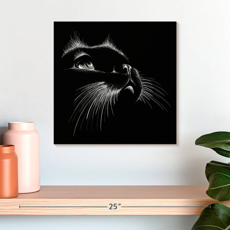 Black Cat Features, 16" H x 16" W