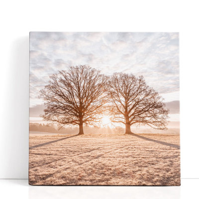 «Trees in Meadow», reproduction d'art sur toile