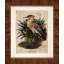 Whistling Heron Print