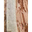 Oriental Area Rug in Beige
