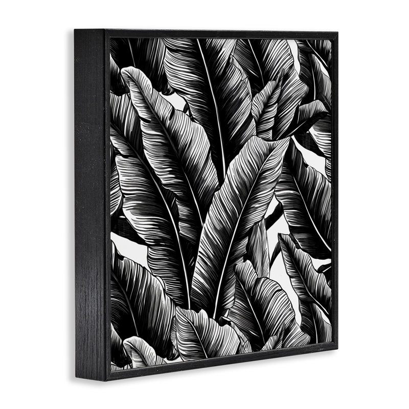 Art "Black Bold Fronds" par Walker Noble bg-056, Giclée encadrée noir minuit, H 24 po x l 24 po