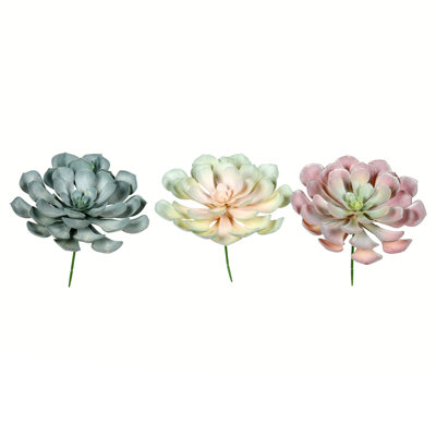 Succulent Arrangement