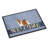 Non-Slip Outdoor Doormat