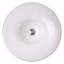 Regatta 17.75'' L Bathroom Sink