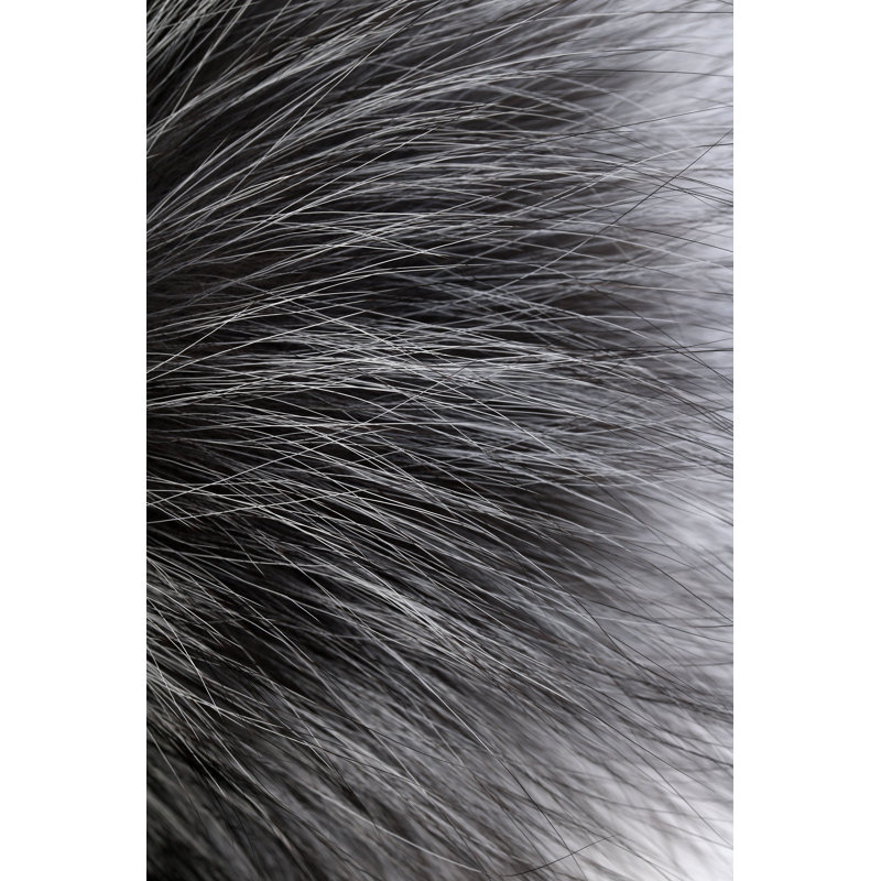 Abstract Fur Background by Vosmanius - Wrapped Canvas Print, 30cm H x 20cm W x 3.8cm D