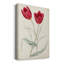 Antique Botanical Collection III - reproduction d'art sur toile tendue-1807122344
