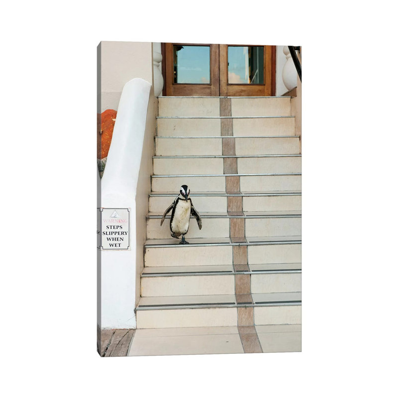 Black-Footed Penguin Descending Stairs, Boulders Beach, Cape Peninsula, South Africa 1 Piece Wrapped Canvas Wall Art
