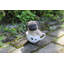 Statue de chiot carlin dans une tasse