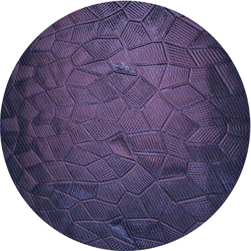 Indoor Rug, Round 7'