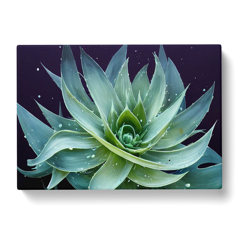 Electrifying Aloe Vera Plant - Wrapped Canvas, 35cm H x 50cm W x 3cm D