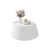 Blanc est en rupture de stock