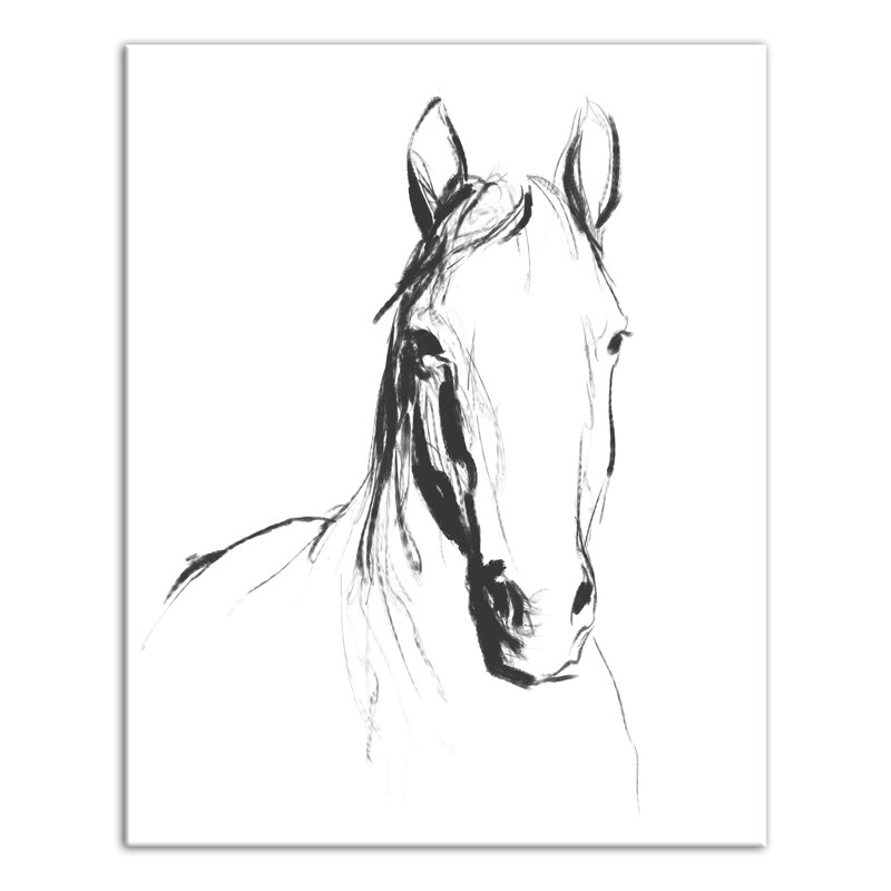 " Stoic Horse Sketch "