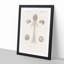 Human Brain Illustration by Charles d'Orbigny - Picture Frame Drawing Print-55578938-55578942