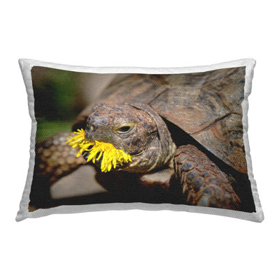 Polyester Lumbar Rectangular Indoor/Outdoor Pillow Cover & Insert by Jonathan Casey