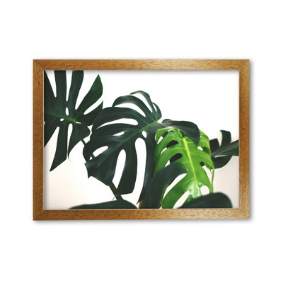 Monstera Leaf Landscape - Print