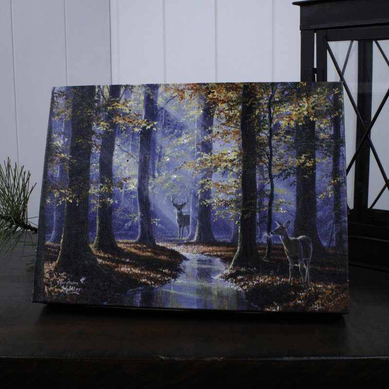 Toile de table 8x6