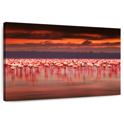 Crowle Flamingos In Natural Habitat