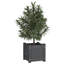 Alatea Wood Planter Box-967479410-967479408