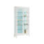 Avondale Lakeshore Curio-58143692
