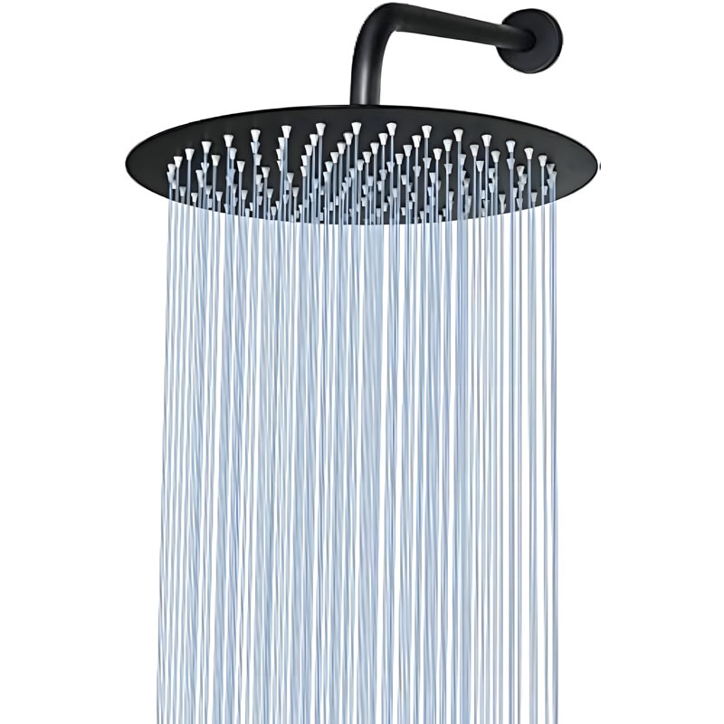 12-Inch Stainless Steel Rainshower Head With 15-Inch Extension Arm, Matte Black