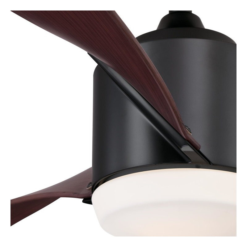 Schaitman Ceiling Fan with LED Lights