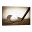 Golf Golf Vintage Grass - reproduction de photo-52463249-52463250