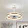 Ceiling Fan with LED Lights