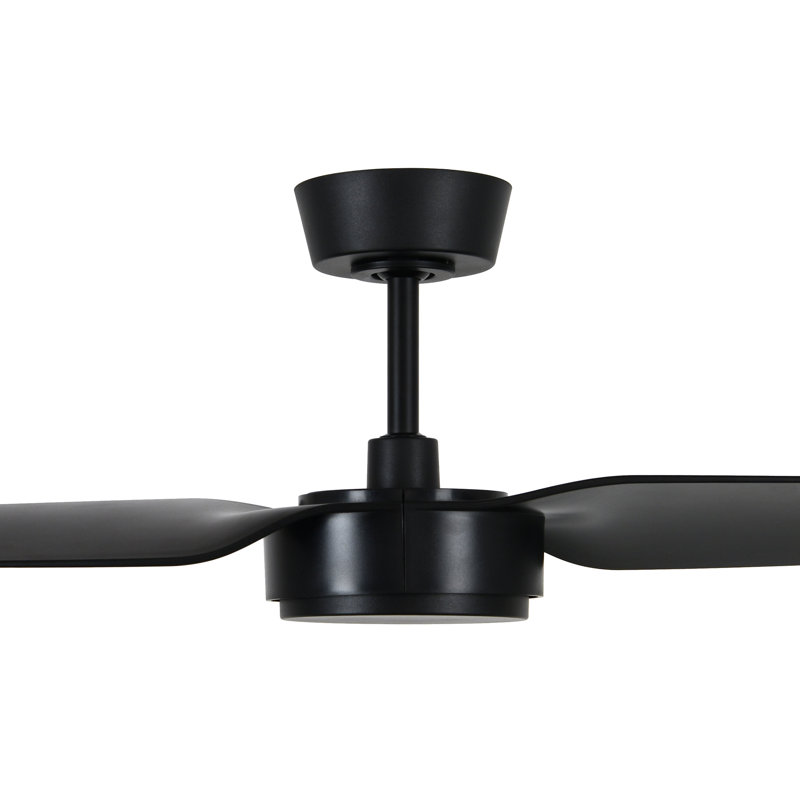 Breanainn 137cm Ceiling Fan, Black
