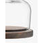 City Glass Cake Stand