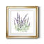 Lavande botanique I - peinture encadrée-528708043-528708042