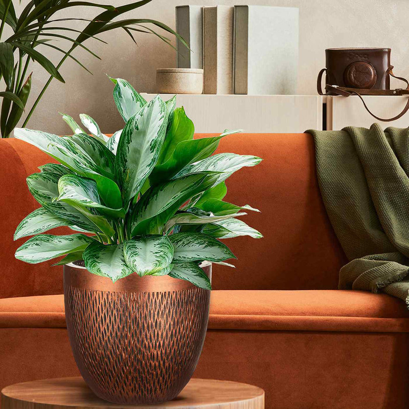 Idealist Mesh Style Round Planter, Indoor Plant Pot For Indoor Plants D26.5 H24.5 Cm, 13L, Bronze