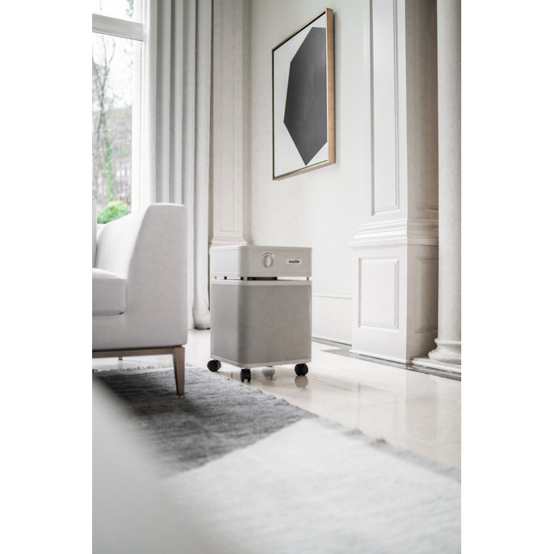 Purificateur d'air Austin Air Healthmate, Grès
