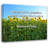 Trinx Gallery Wrapped Canvas By Richard Petty: "Never put a question mark where God puts a Pe