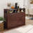 Asier 3 -Drawer Accent Cabinet-1247458702
